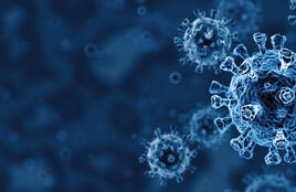 Covid 19 Cells